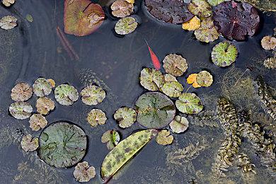 开罗经营游戏《创意咖啡店物语》Steam页面上线 支持简繁体中文